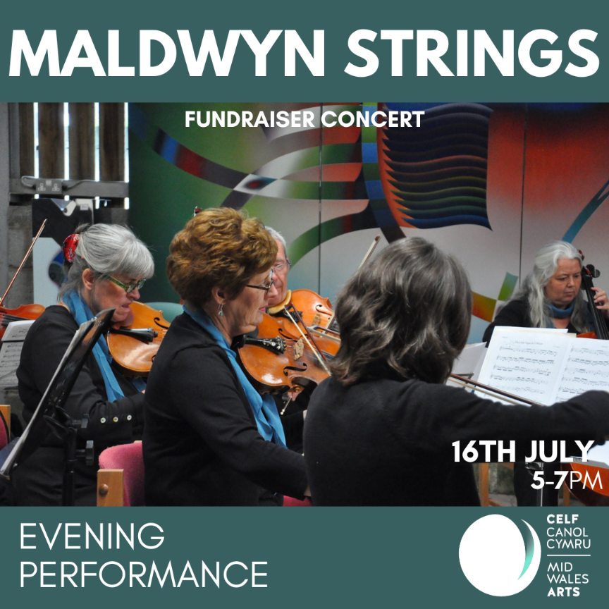 Maldwyn Strings in Concert