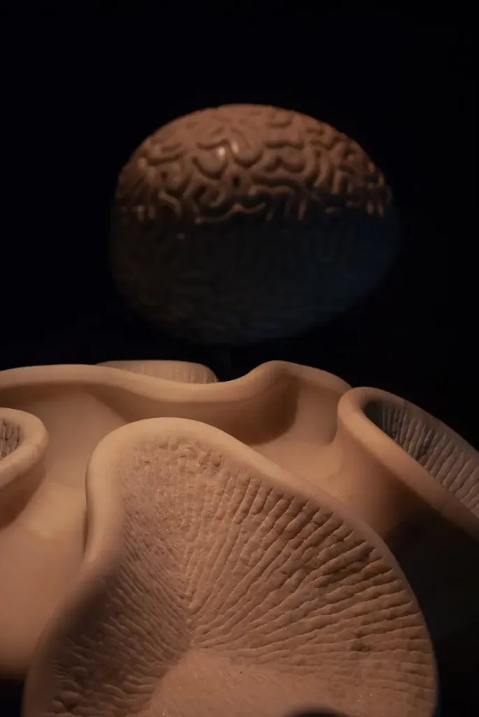 Memorials to Symbiosis