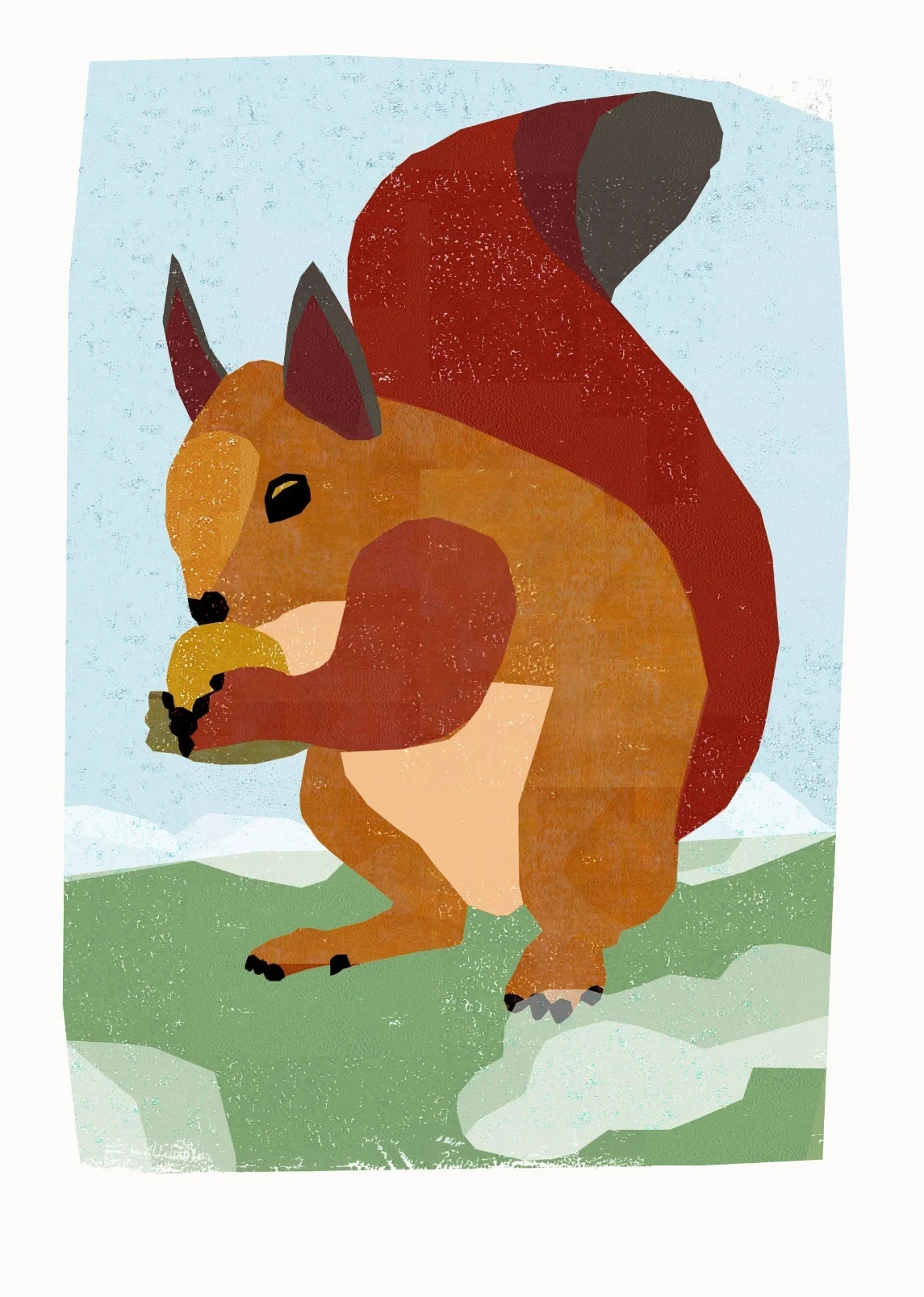 Squirrel